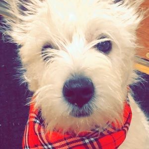 Meet your Posher, Brenda sue